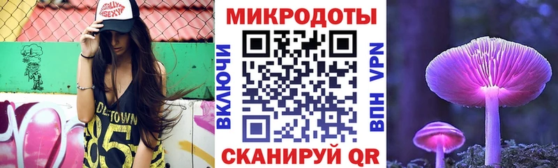 Галлюциногенные грибы Psilocybine cubensis Гаджиево
